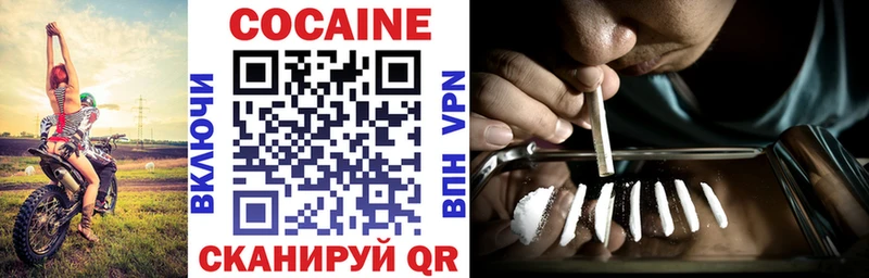 Купить  Ардатов  КОКАИН FishScale 